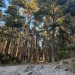 Mano Lejlighed Palanga