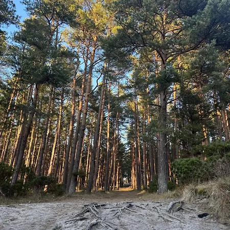 Mano 아파트 팔랑가