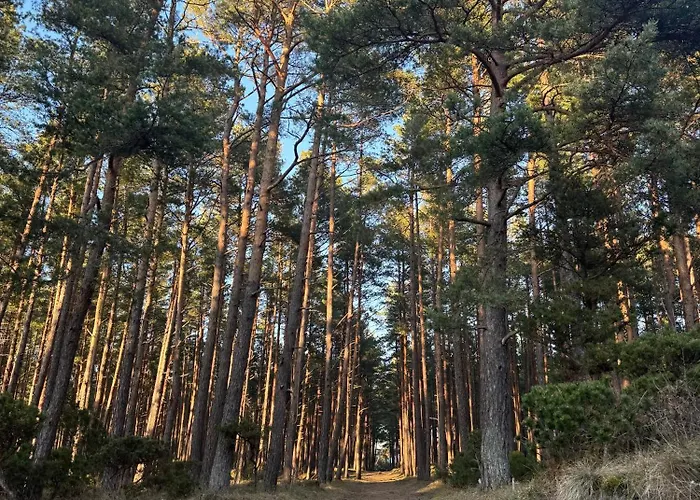 Mano Apartmán Palanga